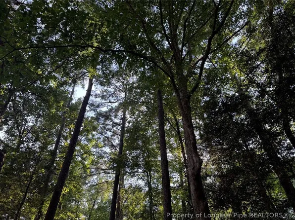 LOT 1761 Irish Blvd, Sanford, NC 27330