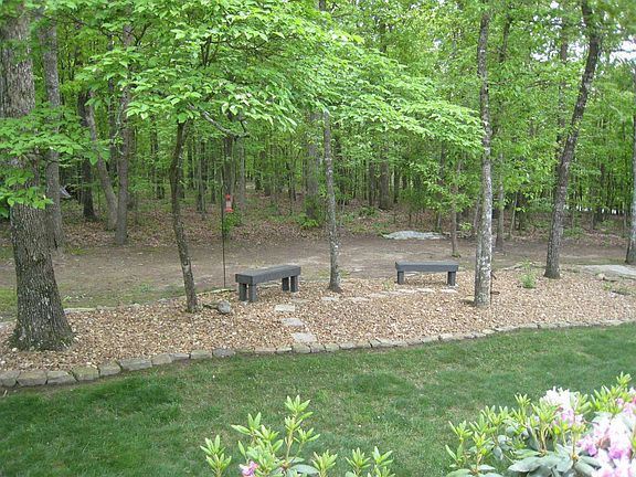 back yard