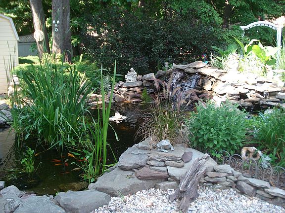Coi Pond
