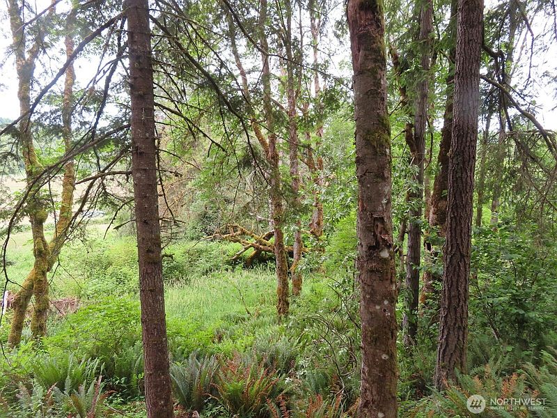 3rd image of 21720 Zenkner Valley Road SW