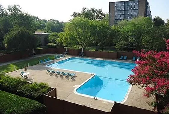Studio, 463 sqft, $1,700 — Photo 2