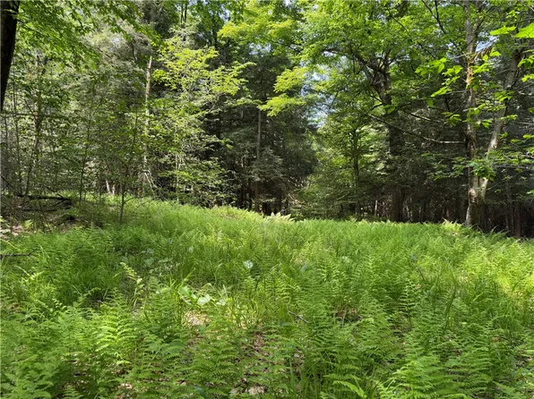 Vl 106 Rd Lot 25, Alma, NY 14708