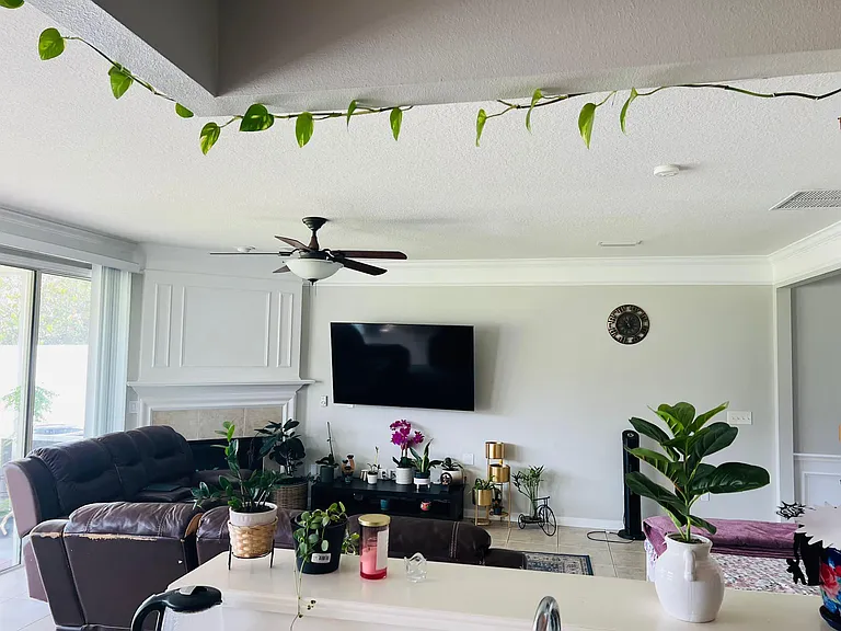 11118 Fallgate Point Ct — Photo 2