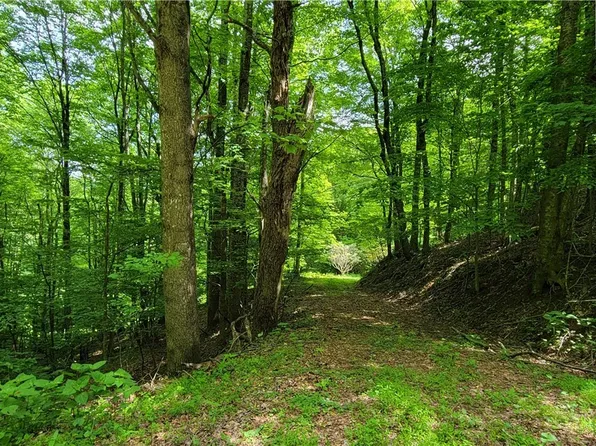 1531 Buck Mountain, West Jefferson, NC 28694
