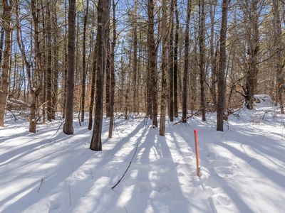 1594 Tatnic Road Lot A, Wells, ME, 04090