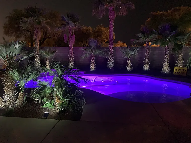 10555 Lilac Tree Ave — Photo 17