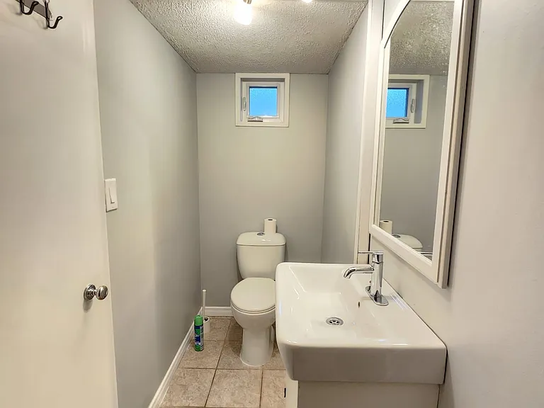 6 W Deane Park Dr #BASEMENT — Photo 14