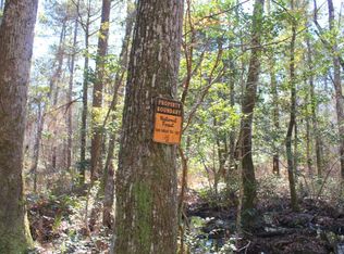 0 Walleye Rd, Bonneau, SC 29431