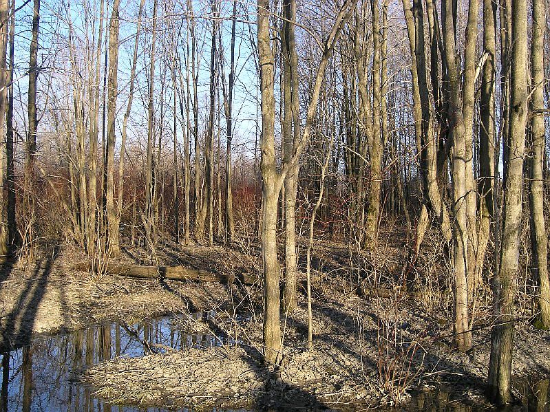 1st image of 3342 State Route 193