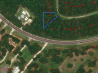 0 Bankside, Livingston, TX 77351