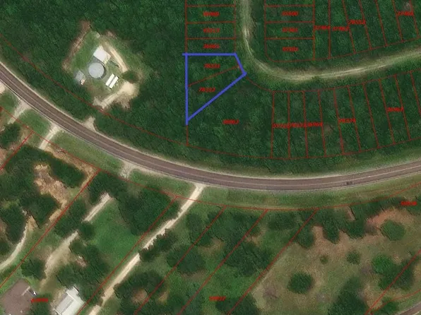 0 Bankside, Livingston, TX 77351