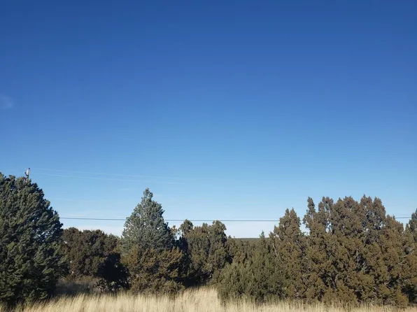 8654 Cox Dr, Show Low, AZ 85901