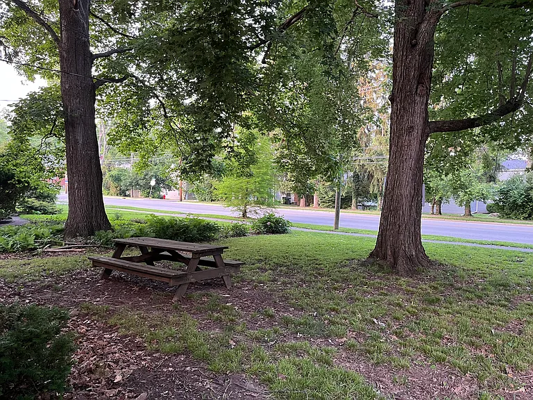 Front yard