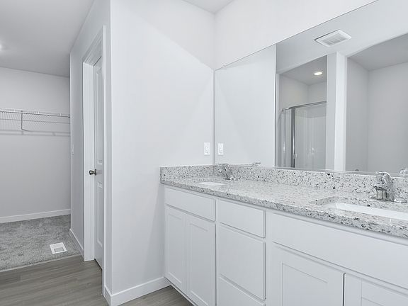 The master bathroom has a dual sink vanity and step in shower.