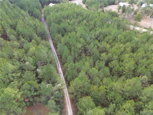 15239 Ridgeland Dr, Brookwood, AL 35444