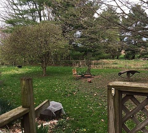 Deck view to back yard