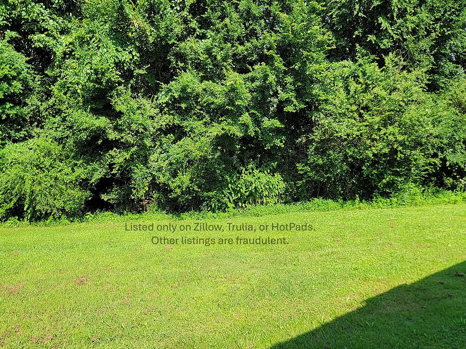 3 bed, 800 sqft, $1,000 — Photo 2
