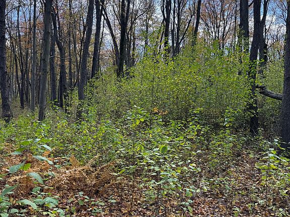 3rd image of Holt Rd