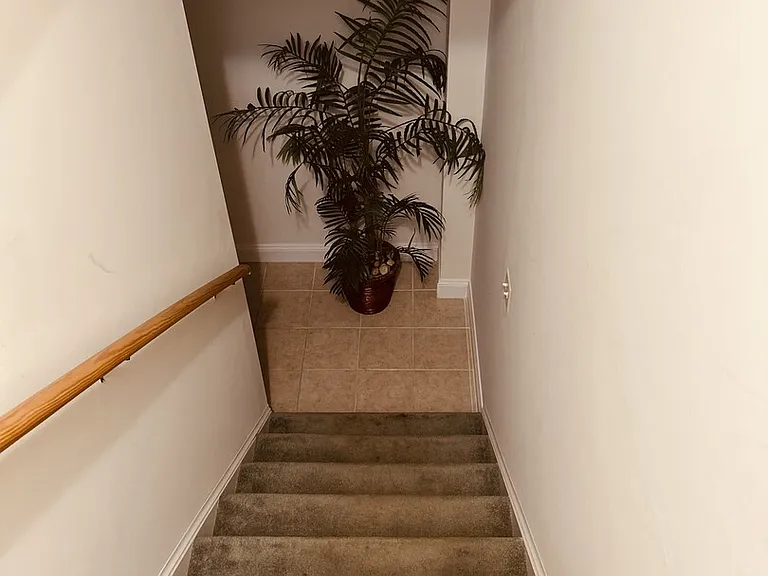 Big Horn Dr — Photo 4