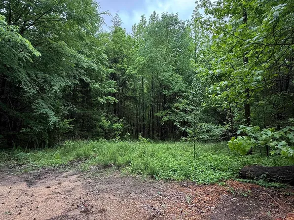 Donaldson Ln, Hornsby, TN 38044