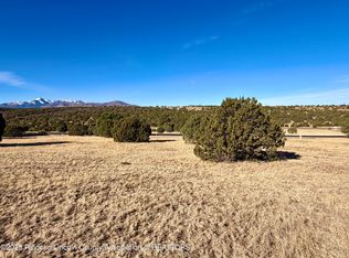 111 Rainmakers Dr, Alto, NM 88312