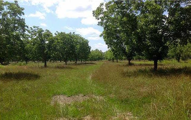 1st image of Tract La Hwy 416
