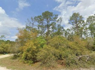 Dolphin Dr LOT 29, Georgetown, FL 32139