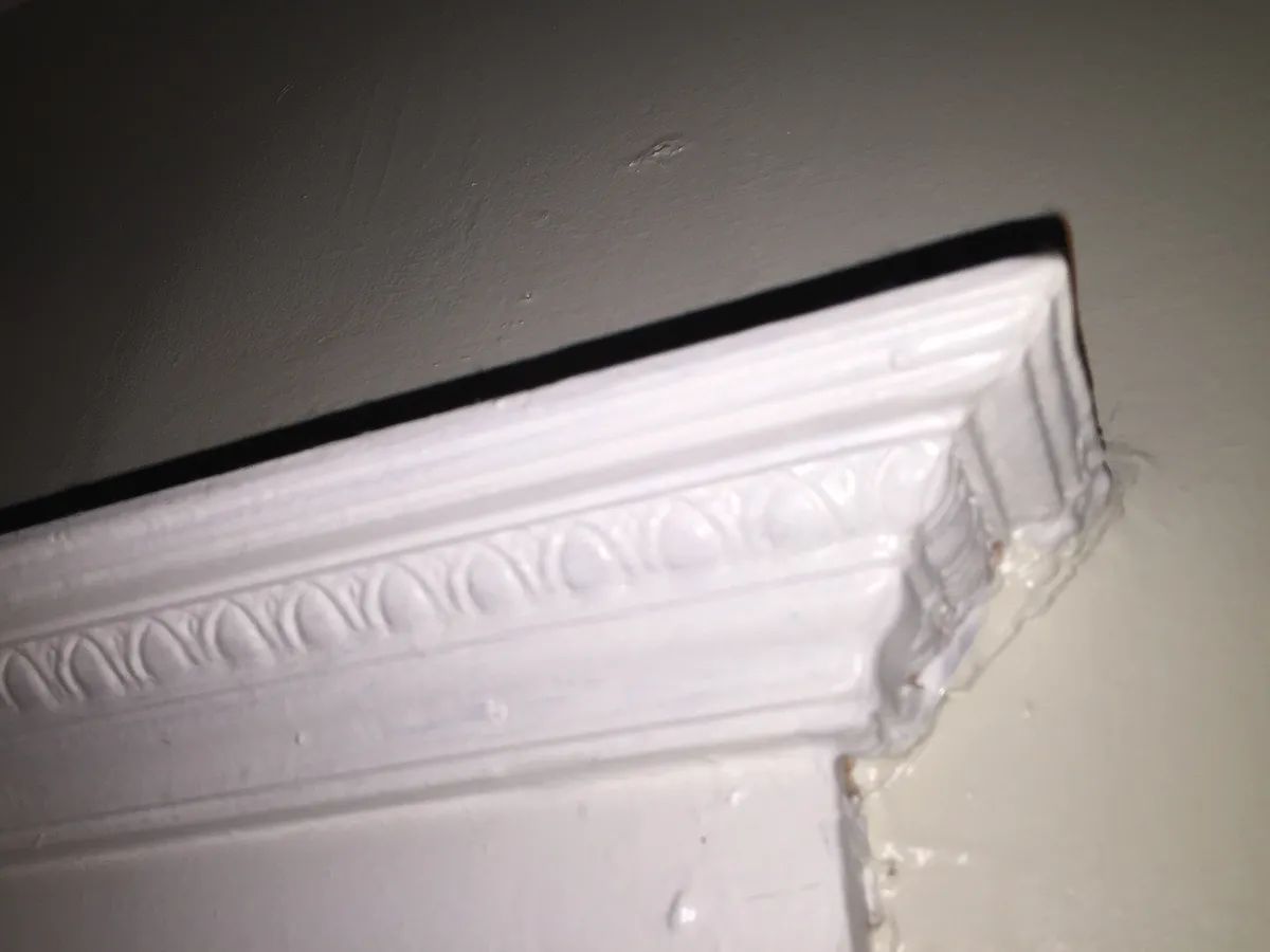Crown molding - 319 E Thatcher St