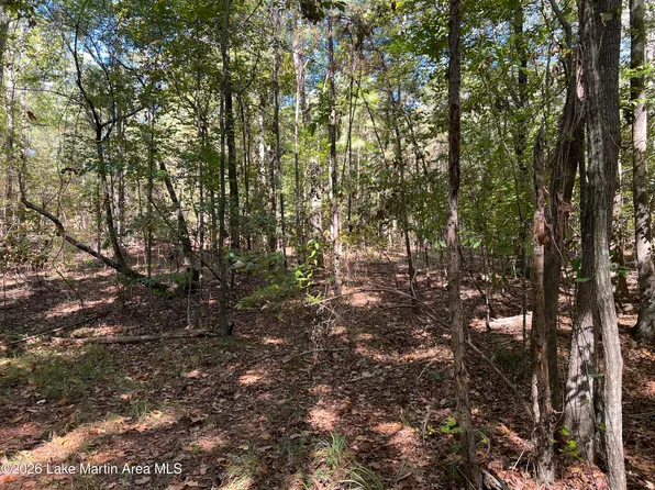 43 Long Leaf Way, Dadeville, AL 36853