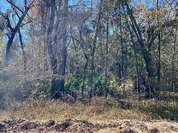3rd image of LOT 33 NW Wren Dr #33