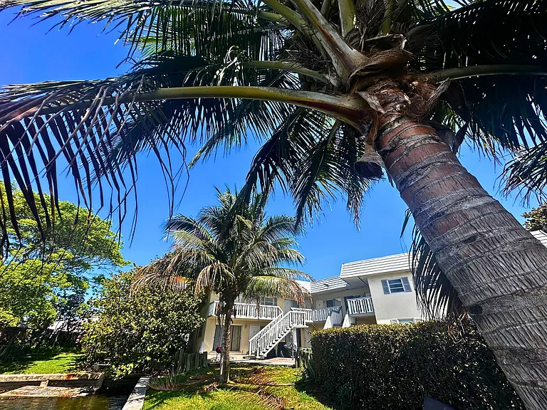 519 W Kalmia Dr — Photo 15