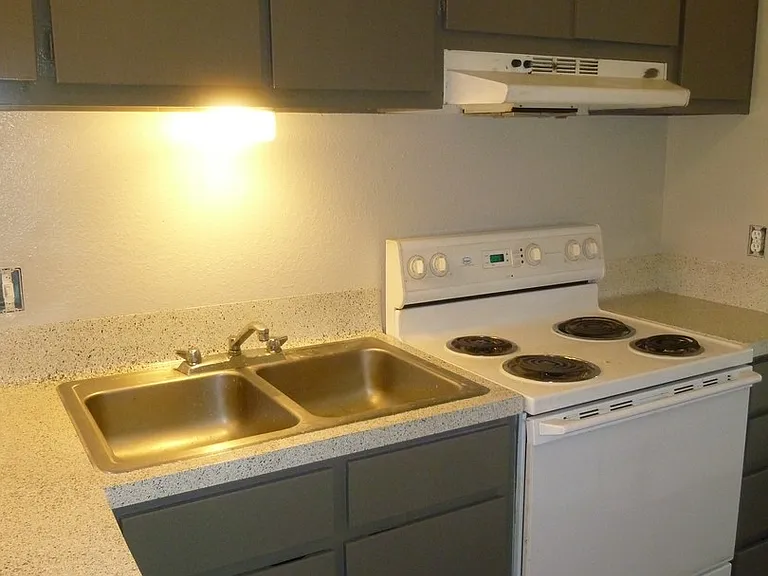 3000 Guadalupe St #313 — Photo 7