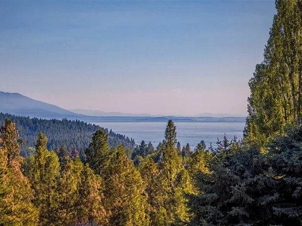 393 View Dr, Bigfork, MT 59911