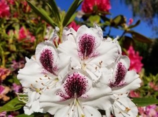 90 Irving Rd, Eugene, OR 97404