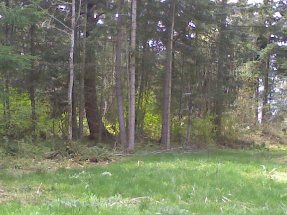 Partially wooded 1+ acre 