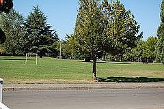 view from porch