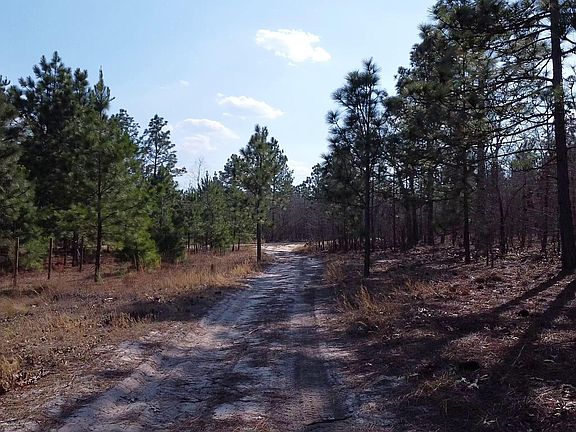 5th image of 1121 D L Phillips Ln Lot 1