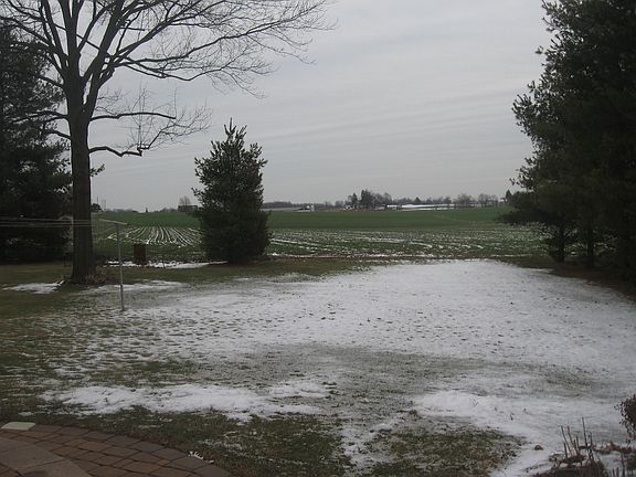 backyard view