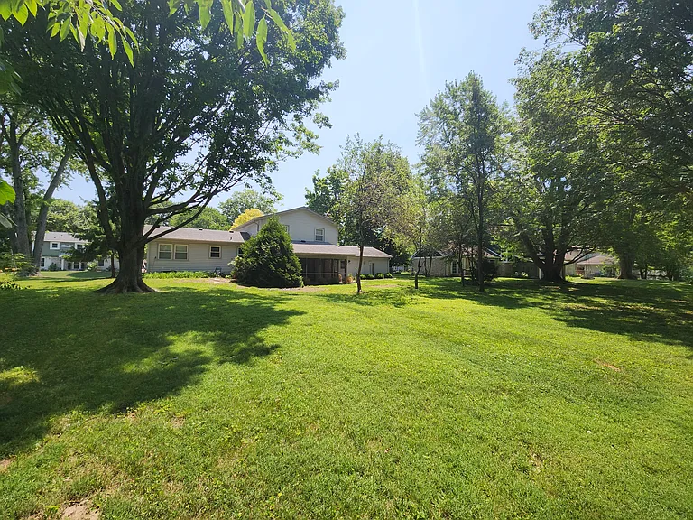 Back yard