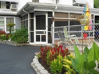 Backyard tropical feel