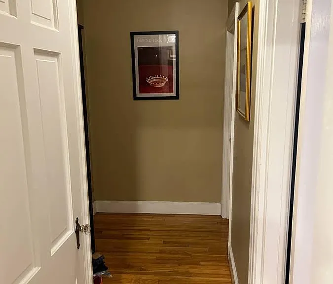 Hallway with Storage Closet (on left)