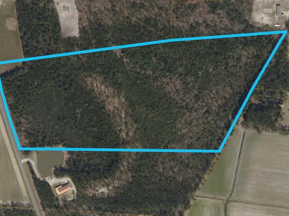 TBD Mill Pond Rd., Galivants Ferry, SC 29544