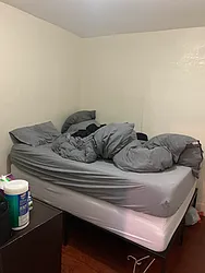 Rented by Voro New York