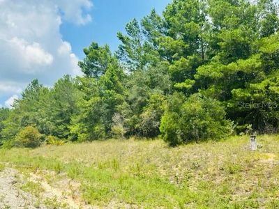 Olyvia Court County Rd #315C, Keystone Heights, FL, 32656