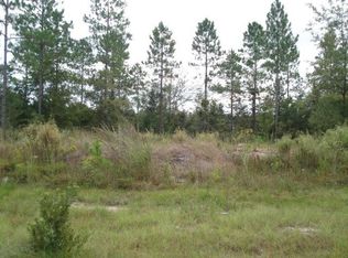 LOT 5 Boot Harrison Rd LOT 5, Waynesville, GA 31566