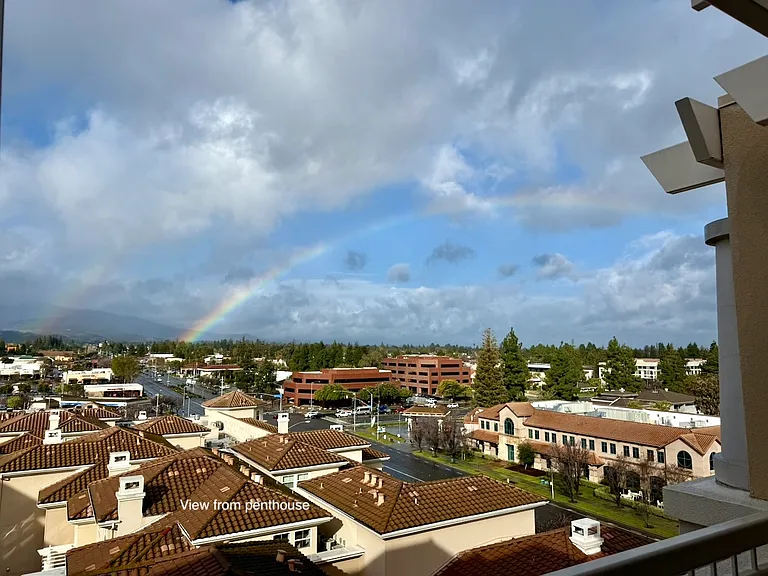 View from penthouse