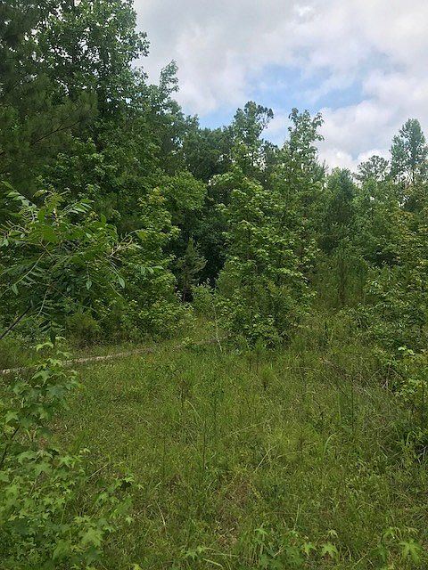 2nd image of 214 Deer Creek Dr