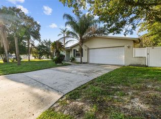 6781 297th Ave N, Clearwater, FL 33761