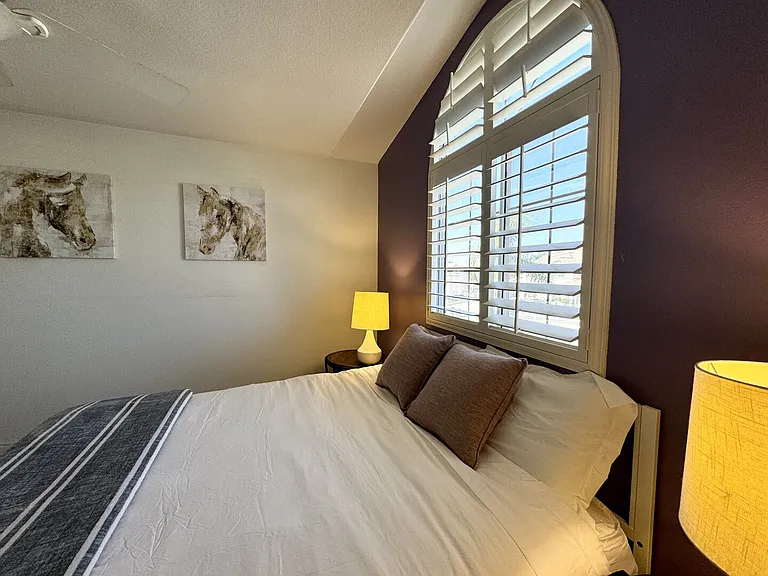 Appaloosa St — Photo 38