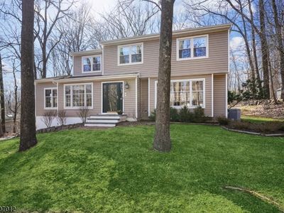 40 Nestlingwood Dr, Long Valley, NJ, 07853